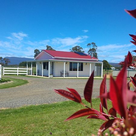 Little Sunnyside Accommodation Hagley Exterior foto