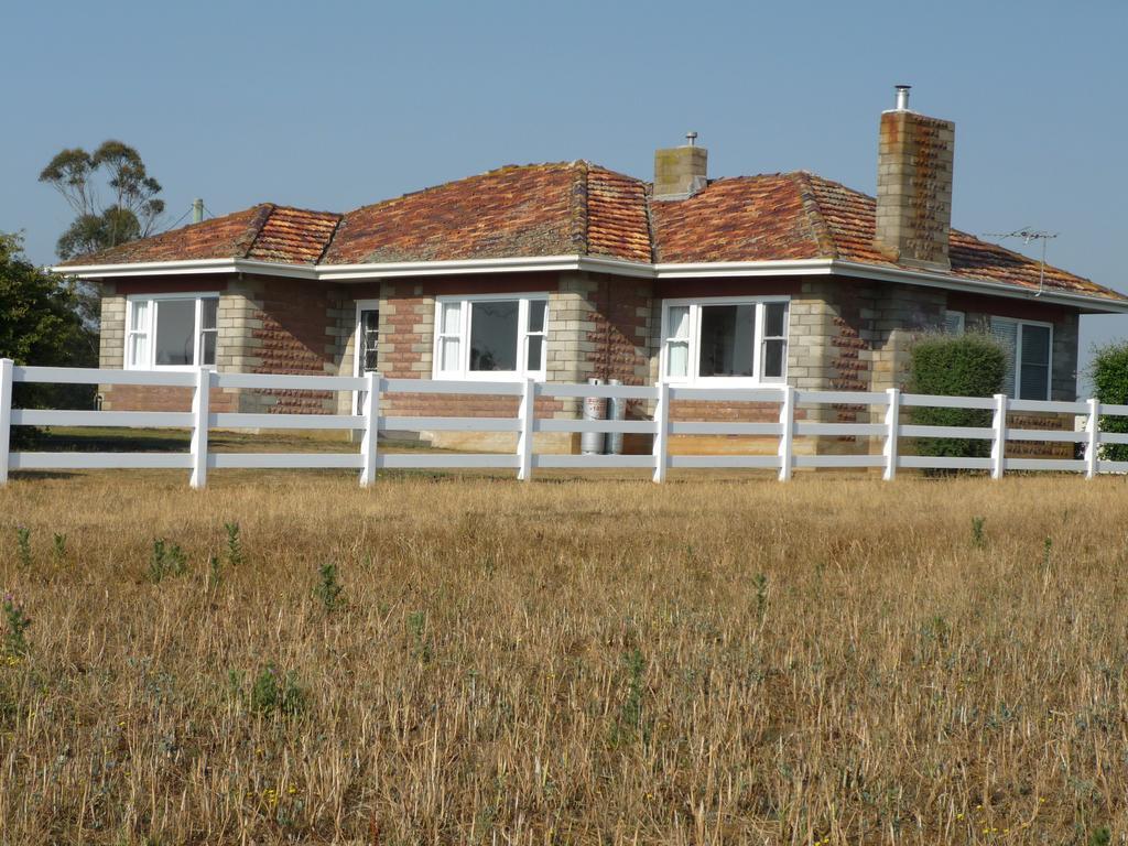 Little Sunnyside Accommodation Hagley Exterior foto